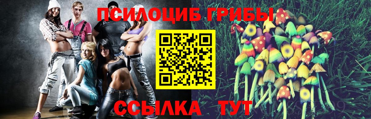 Топки  Псилоцибиновые грибы ЛСД  Вход с VPN 
